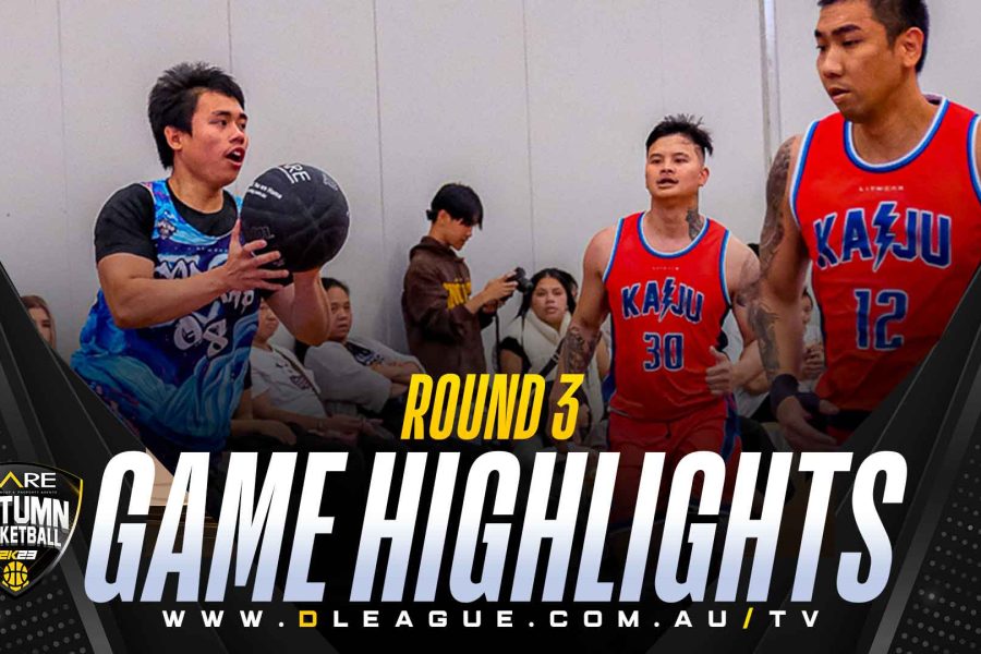 RD3: DREAMVILLE vs COBRAS