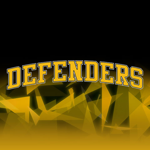 D Defenders